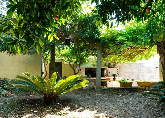 Oasis Of Peace