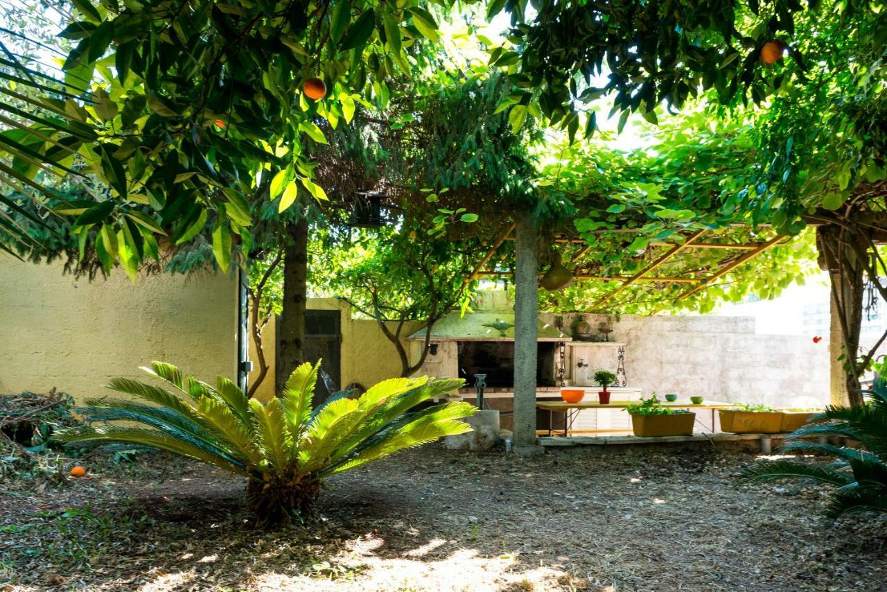 Oasis Of Peace Apartmán